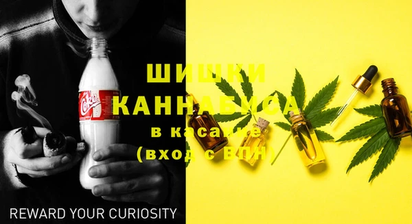 стаф Алзамай