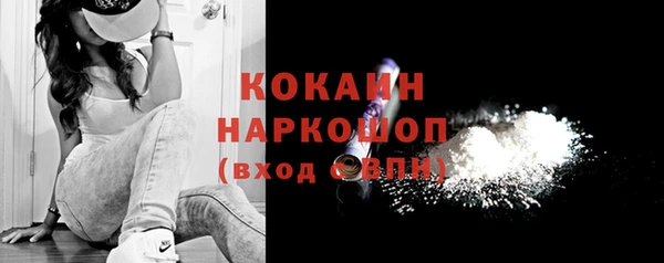 стаф Алзамай