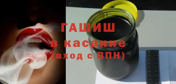 стаф Алзамай