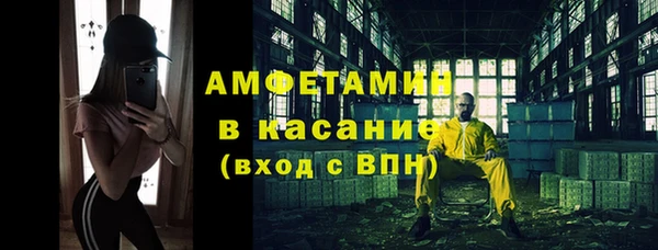 стаф Алзамай