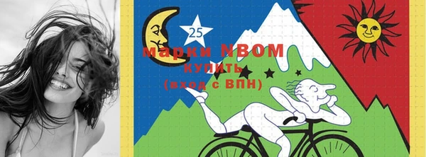 мдпв Алексин