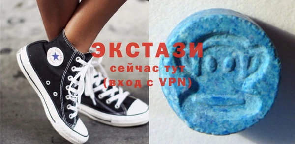 стаф Алзамай