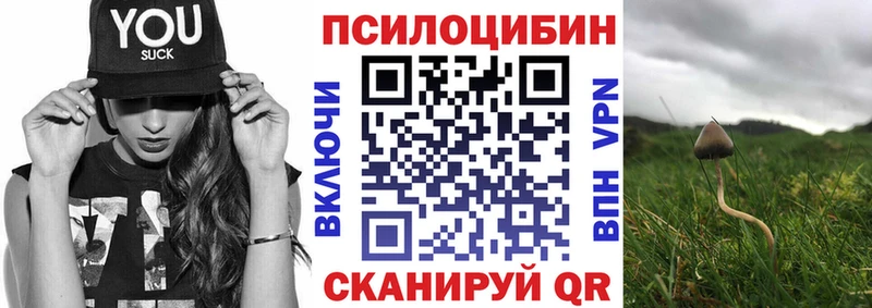 купить наркоту  KRAKEN сайт  Галлюциногенные грибы GOLDEN TEACHER  Гаджиево 